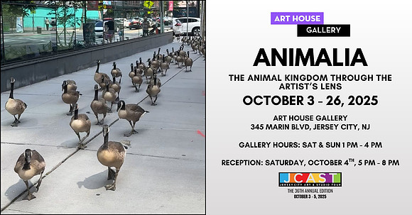 One of my photographs was selected by Art House Productions for their exhibition "Animalia", running from October 3-26, 2025.