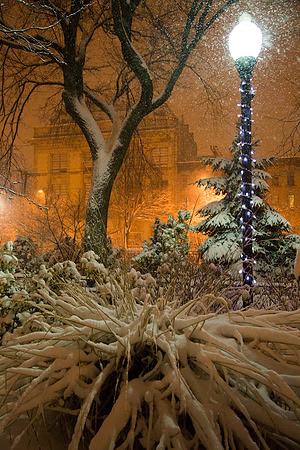 "Winter Magic"
