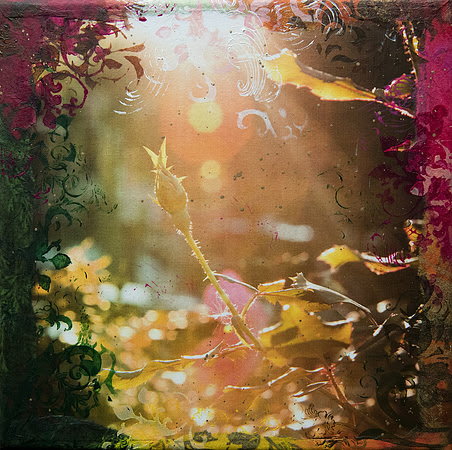 "Spring Fever"